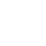 euro(1)